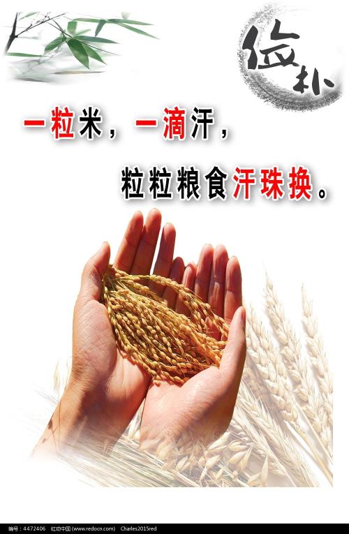 放弃继承公证书有几份